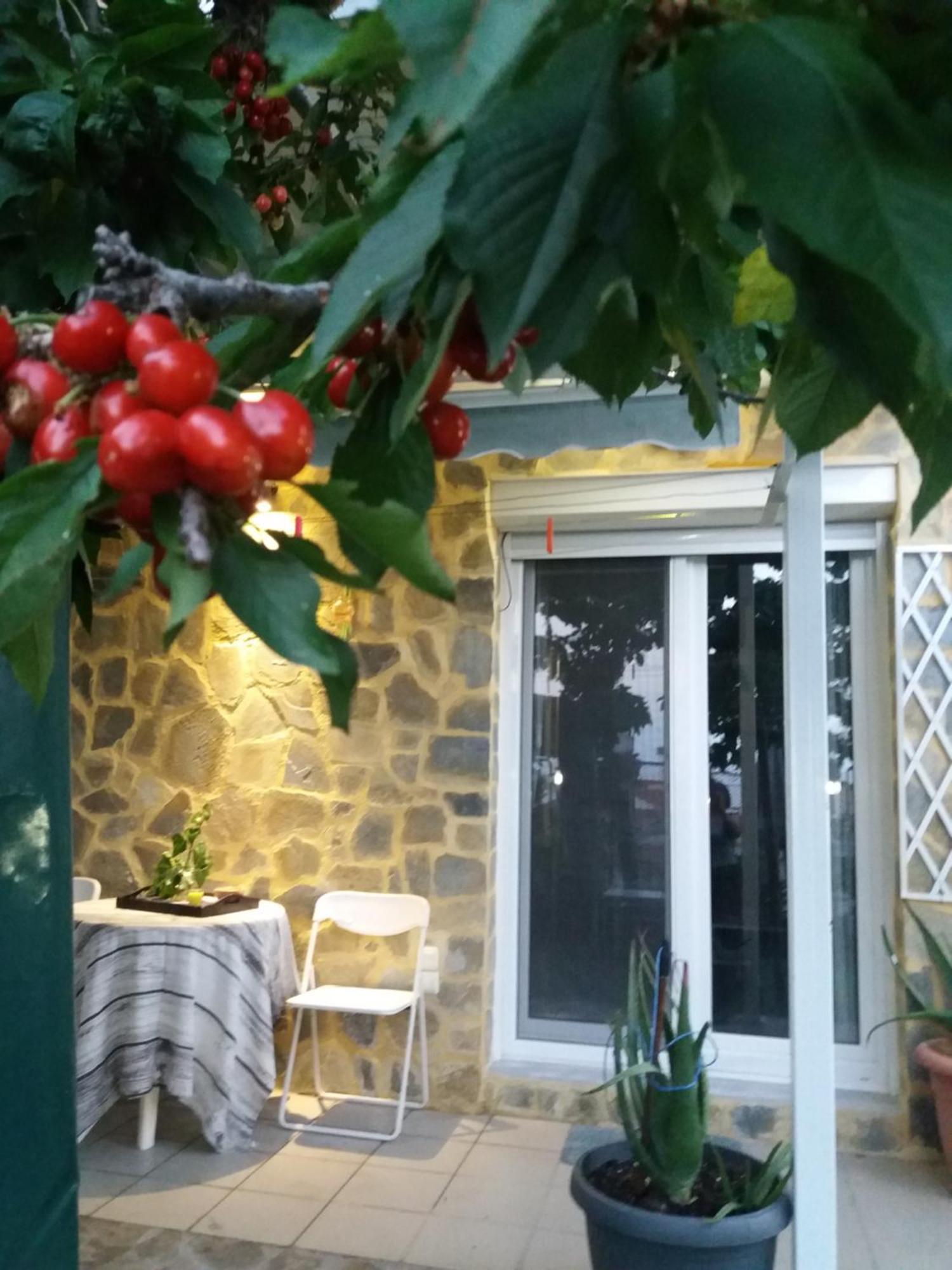 Apartament Garden'S House Kawala Zewnętrze zdjęcie